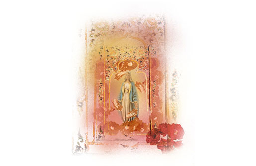 Drucke zu Kollektionsthemen