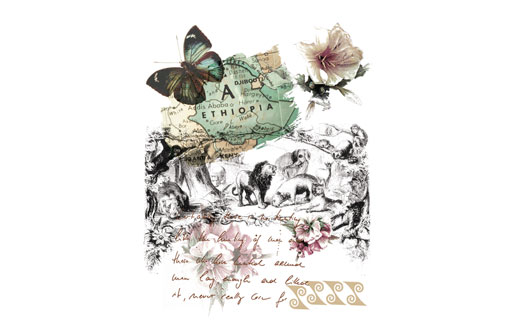 Drucke zu Kollektionsthemen