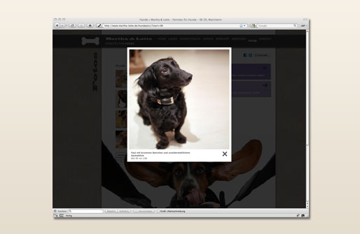 Internetpräsenz Martha & Lotte